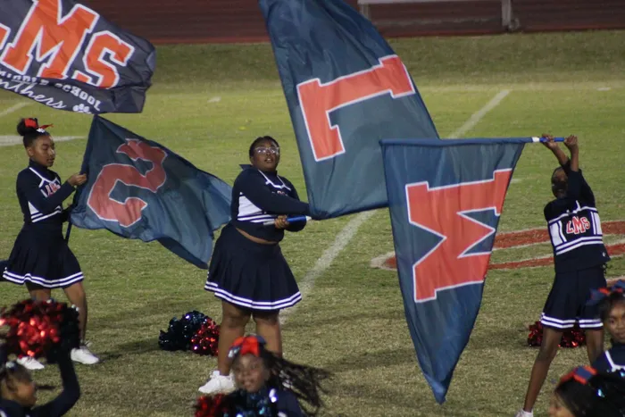 CustomProPrints.Com - Rectangle Flag