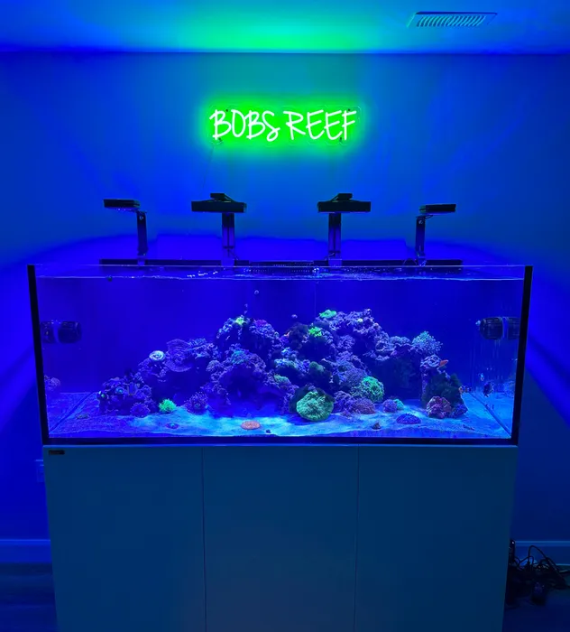 CustomProPrints.Com - Custom Neon Sign