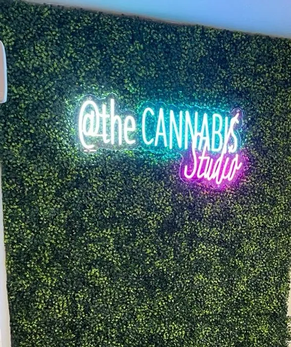 CustomProPrints.Com - Artwork Neon Sign