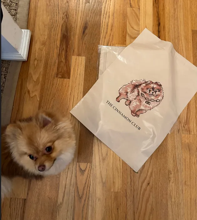 ImprintNow.nl - Custom Poly Mailer