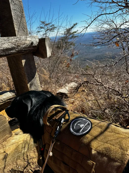 CustomProPrints.Com - Embroidered Patches