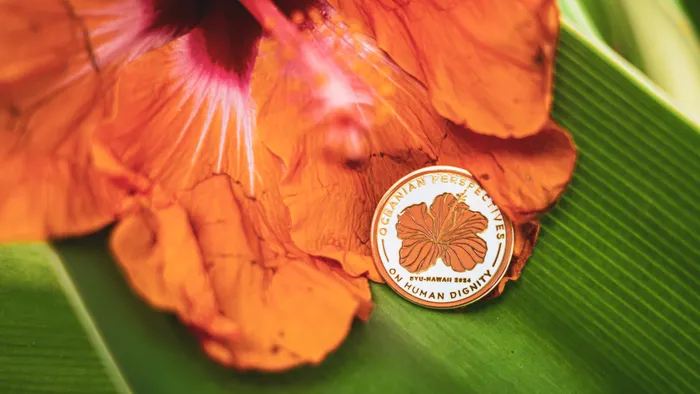 CustomProPrints.Com - Hard Enamel Pin