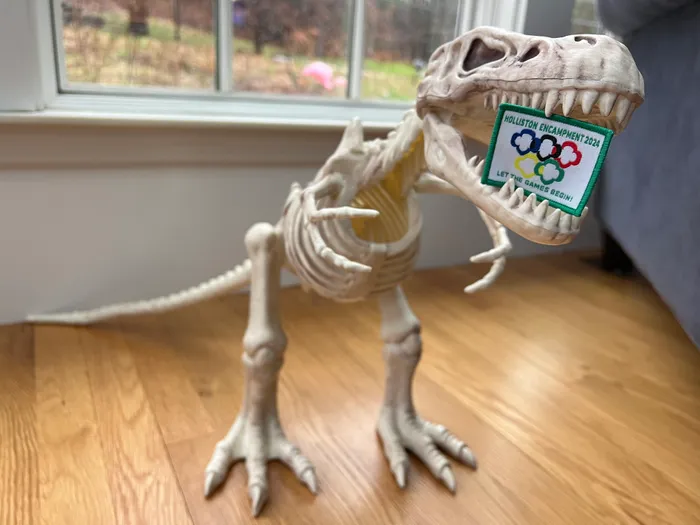 CustomProPrints.Com - Woven Patches