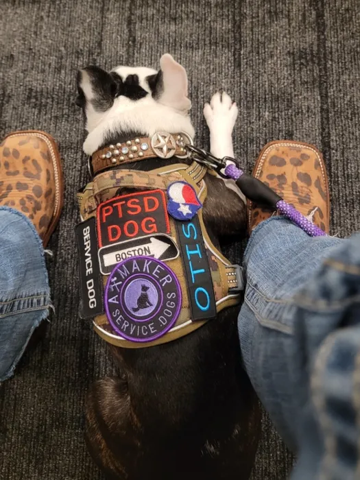 CustomProPrints.Com - Embroidered Patches