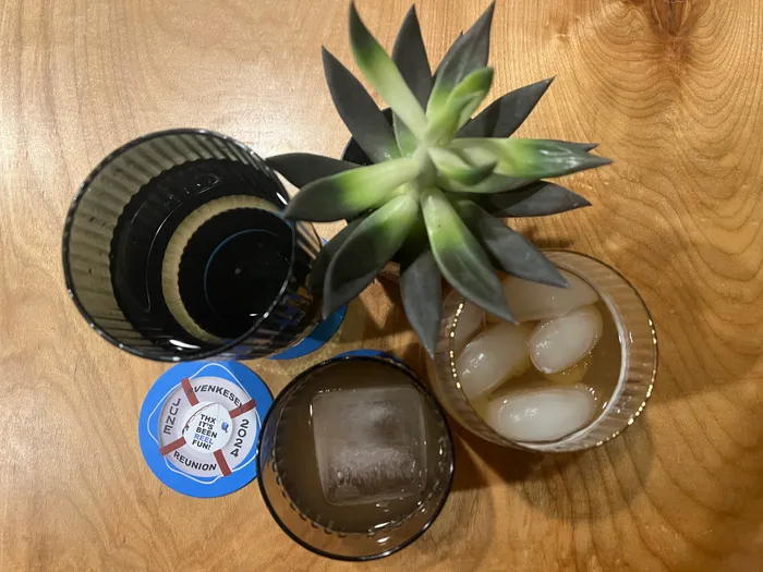 CustomProPrints.Com - Super Absorbent Bar Coaster