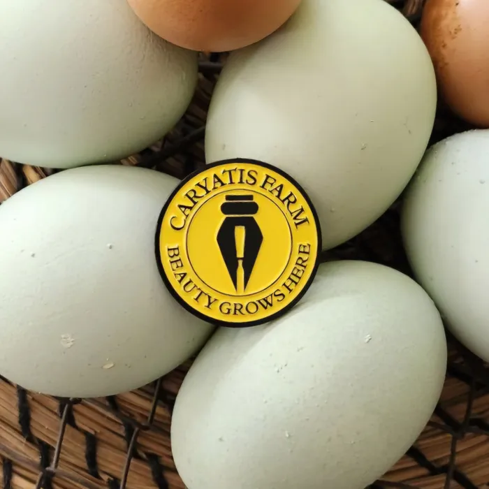 CustomProPrints.Com - Soft Enamel Pin