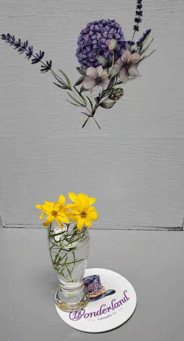 CustomProPrints.Com - Pulpboard Coasters