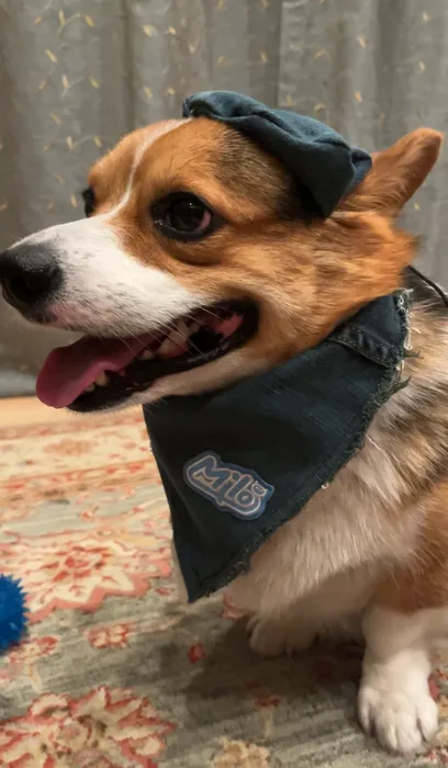 CustomProPrints.Com - Embroidered Patches