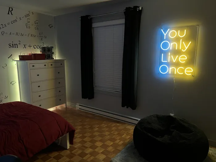 CustomProPrints.Com - You Only Live Once Neon Sign