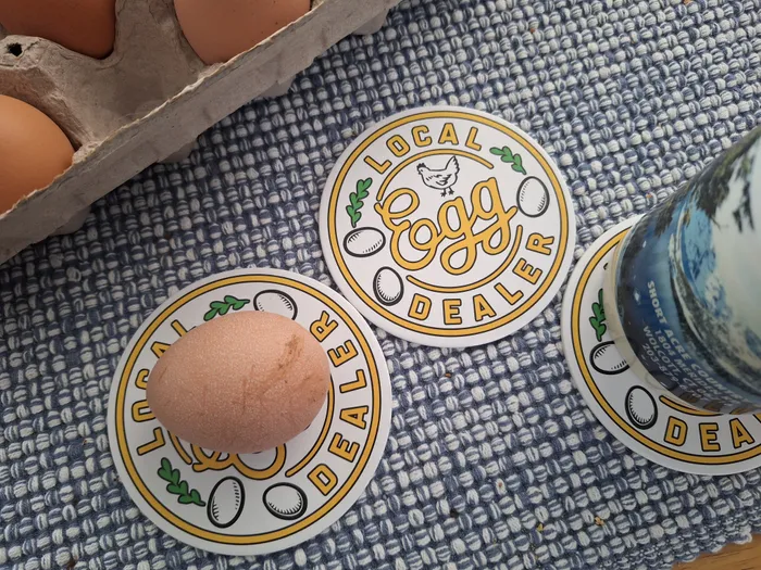 CustomProPrints.Com - Pulpboard Coasters