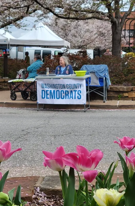 CustomProPrints.Com - Custom Vinyl Banners