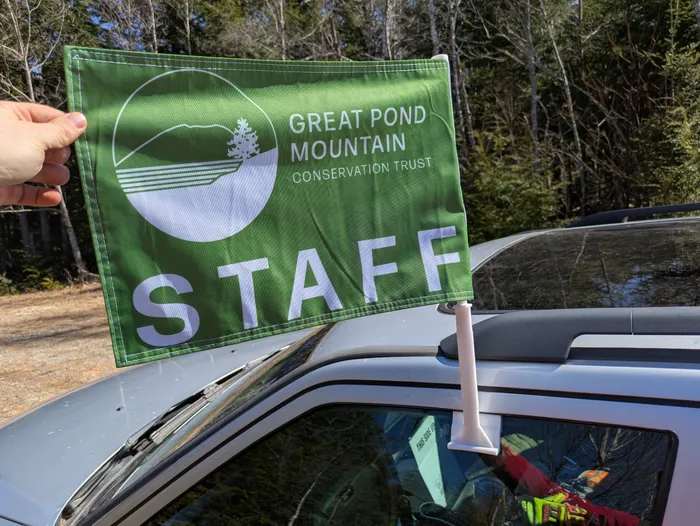 CustomProPrints.Com - Car Flag