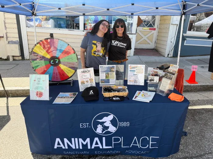 CustomProPrints.Com - Custom Rectangle Table Covers