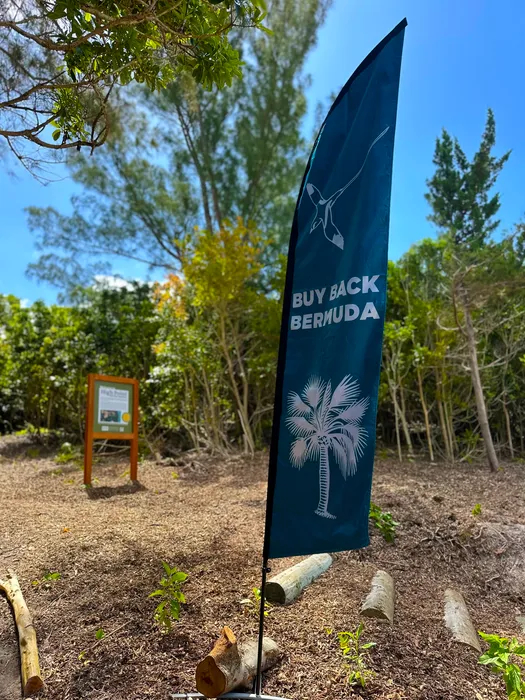 CustomProPrints.Com - Feather Flag