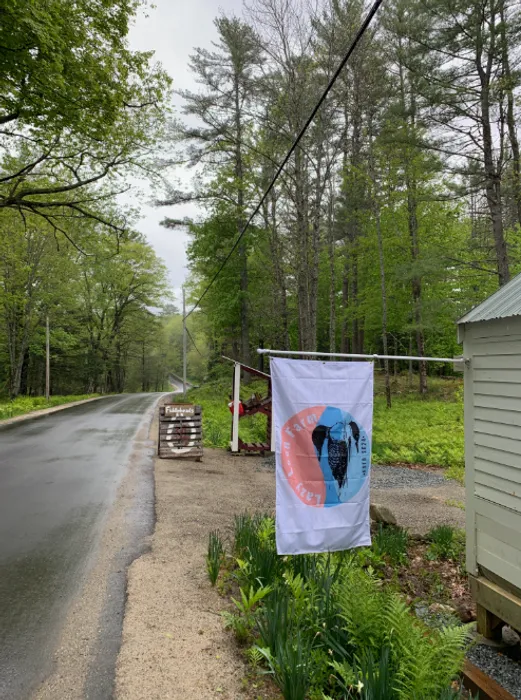 CustomProPrints.Com - Rectangle Flag