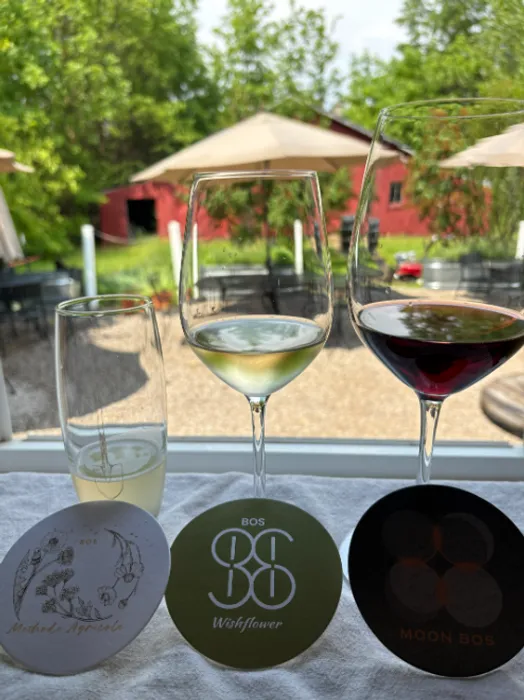 CustomProPrints.Com - Pulpboard Coasters