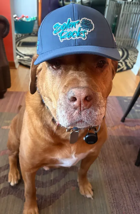 StealthPatches.Com - Full Color TPU