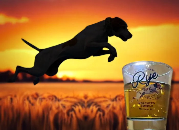 StealthPatches.Com - Clear Glass Shot Glass