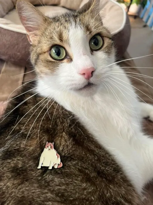 StealthPromoCo.Com - Soft Enamel Pin