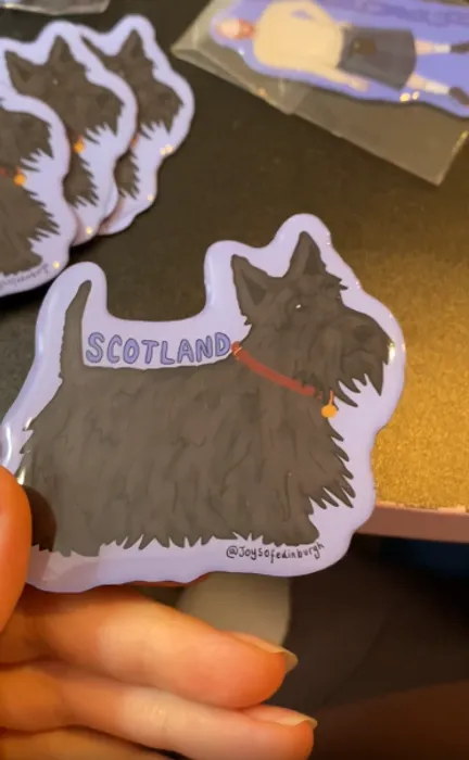 StealthPromoCo.Com - Custom Shaped Magnets