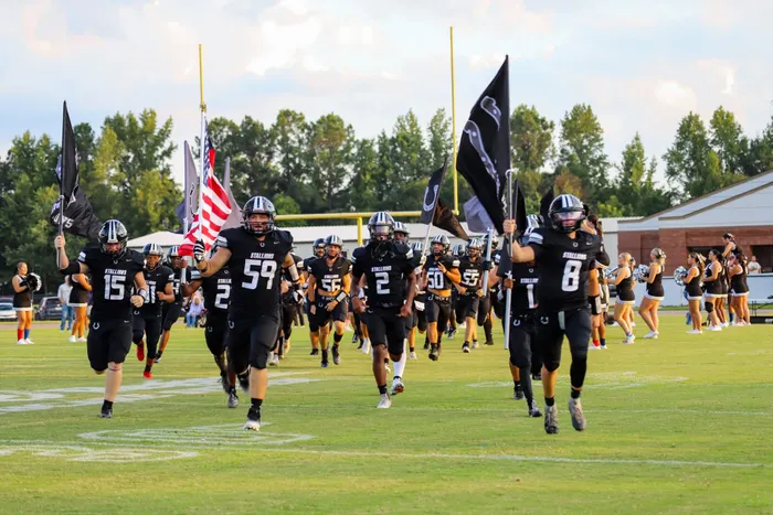 CustomProPrints.Com - Rectangle Flag