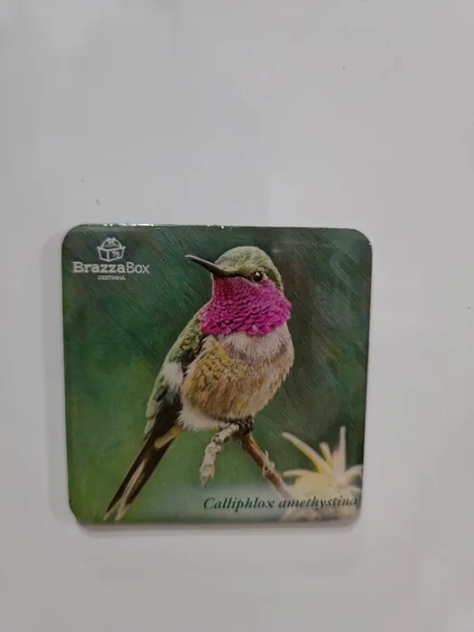 ImprintNow.de - Square Magnets