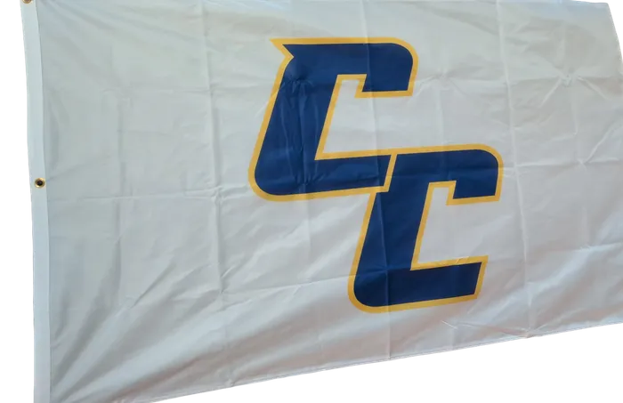 CustomProPrints.Com - Rectangle Flag