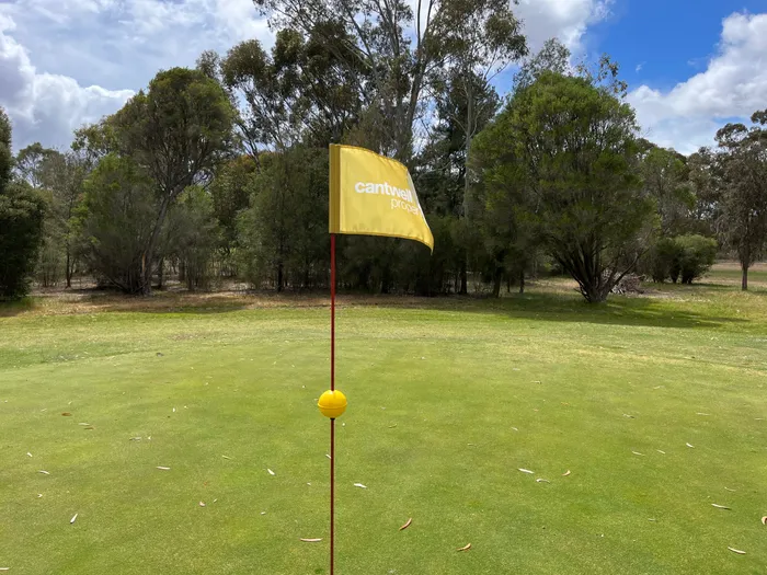 StealthPromoCo.Com - Golf Flag