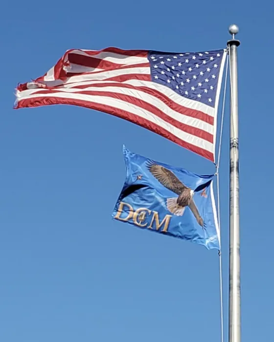 CustomProPrints.Com - Rectangle Flag