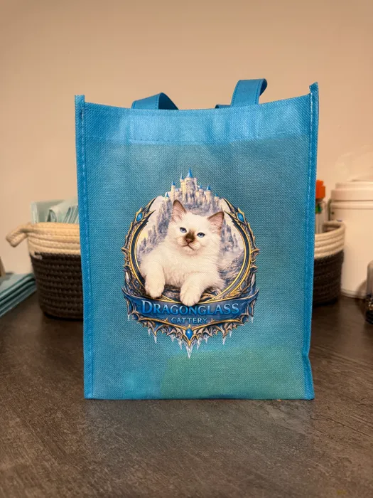 StealthPromoCo.Com - Custom Small Gift Tote Bag
