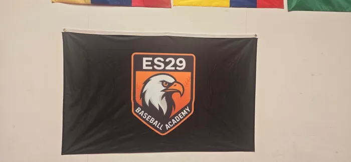 CustomProPrints.Com - Rectangle Flag