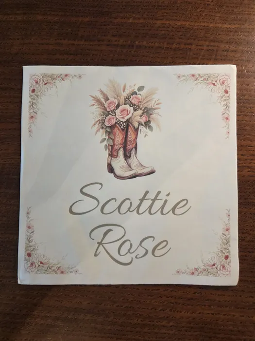 StealthPromoCo.Com - Custom Paper Luncheon Napkins