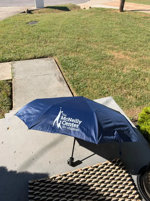 StealthPatches.Com - Auto Folding Umbrella - 42 In Arc
