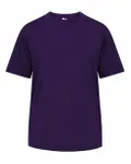 Hanes adult cool DRI with FreshIQ t-shirt PURPLE