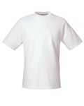 Team 365 - T-shirt homme zone performance BLANC
