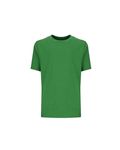 Next Level Apparel Ragazzi Giovani Cotone Equipaggio Verde Kelly