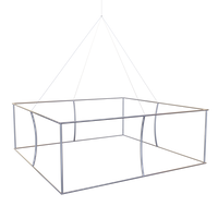 A geometric wireframe structure resembling a pendant light is suspended against a plain background.