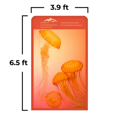 3.9 x 6.5 ft 3.9 x 6.5 ft - Custom Pro Prints