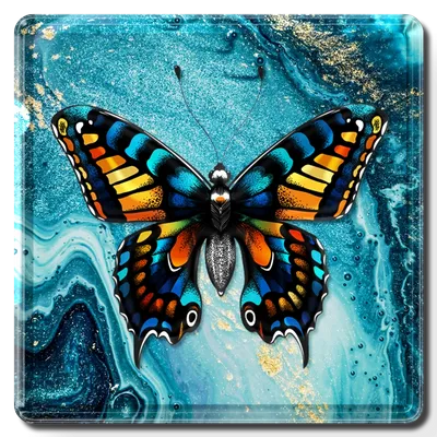 Square - Custom Pro Prints