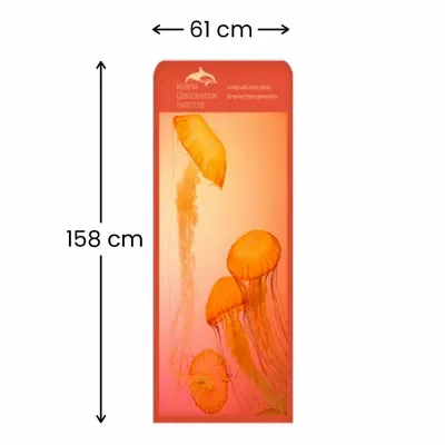 61 x 158 cm 61 x 158 cm - Imprint Now - DE