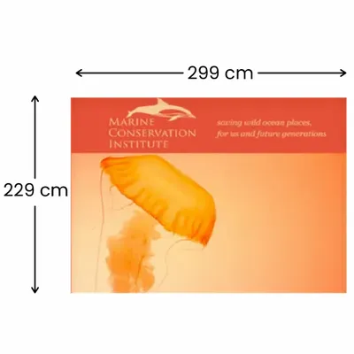 299 x 229 cm 299 x 229 cm - Imprint Now - DE