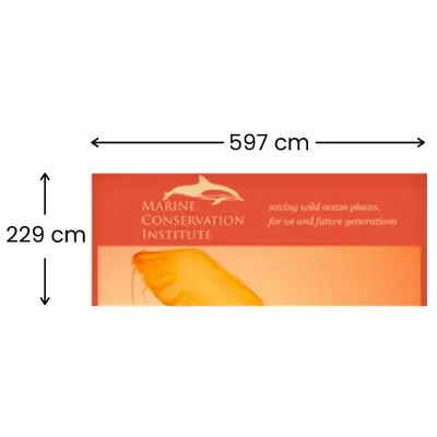 597 x 229 cm 597 x 229 cm - Imprint Now - DE