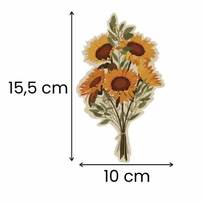 10 x 15,5 cm 10 x 15,5 cm