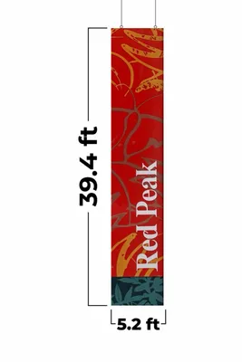 5.2 ft x 39.4 ft - Custom Pro Prints