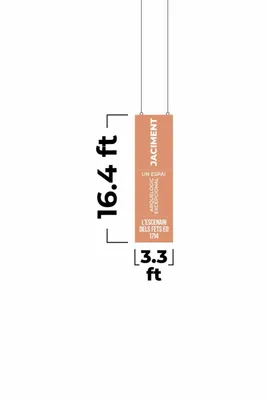 3.3 ft x 16.4 ft - Custom Pro Prints