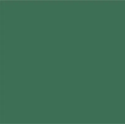 Dark Green Dark Green - Custom Shoe Charm