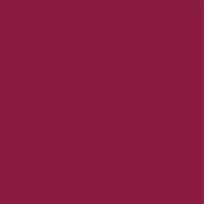 Burgundy Burgundy - Custom Shoe Charm