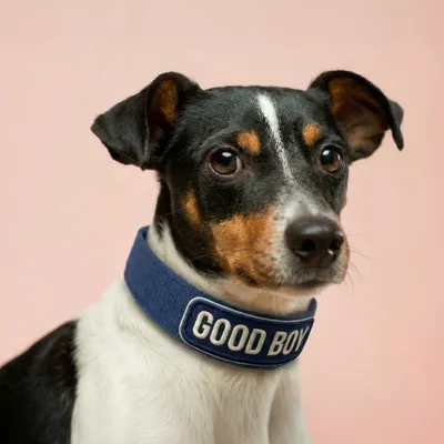 Pet Harness - Custom Pro Prints