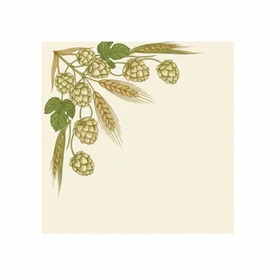 8 in x 8 in - Custom Pro Prints