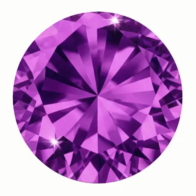 False Fuchsia - Custom Tees Today